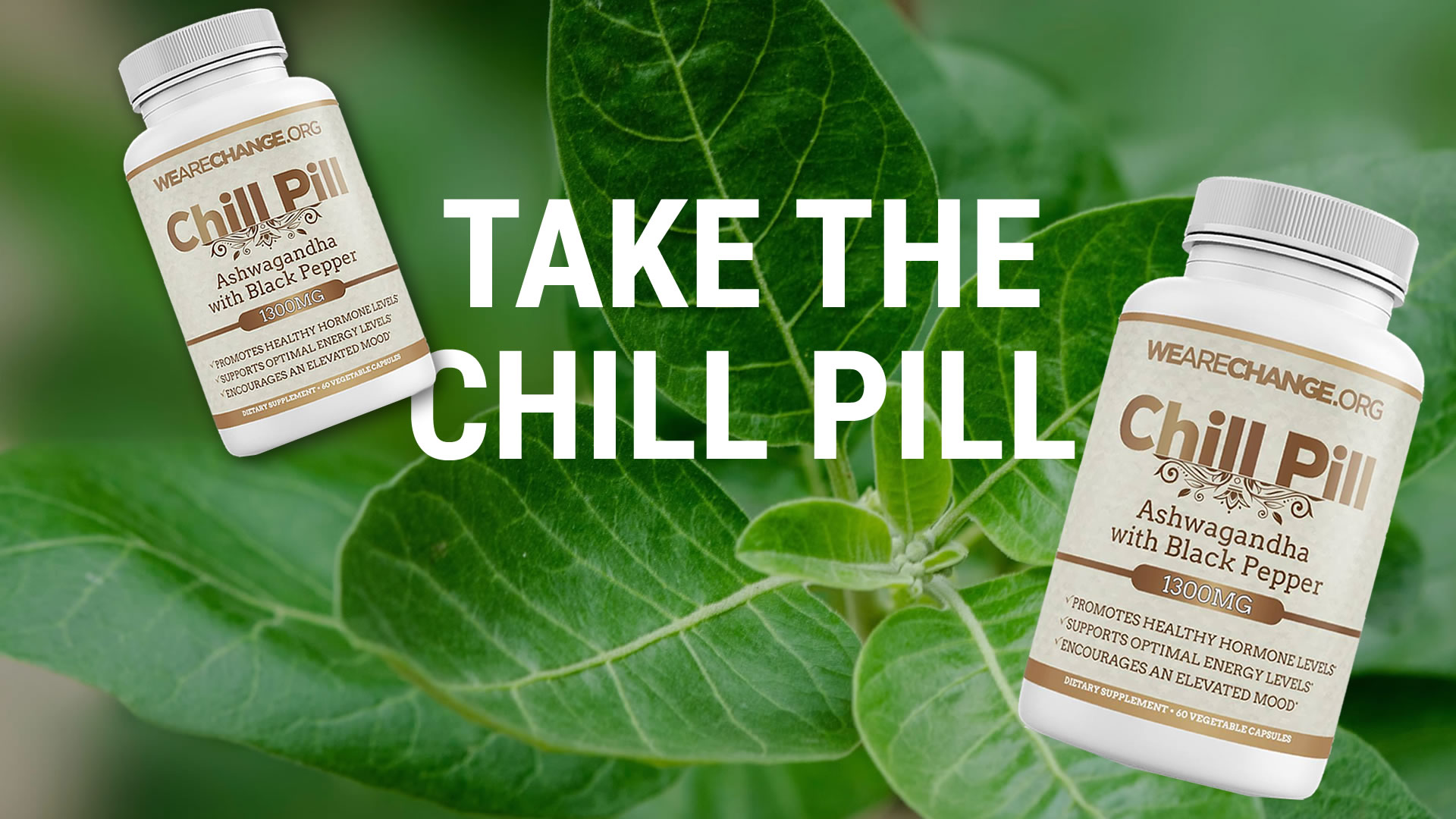 Take The Chill Pill WeAreChange Shop Supercharge Your Wellbeing
