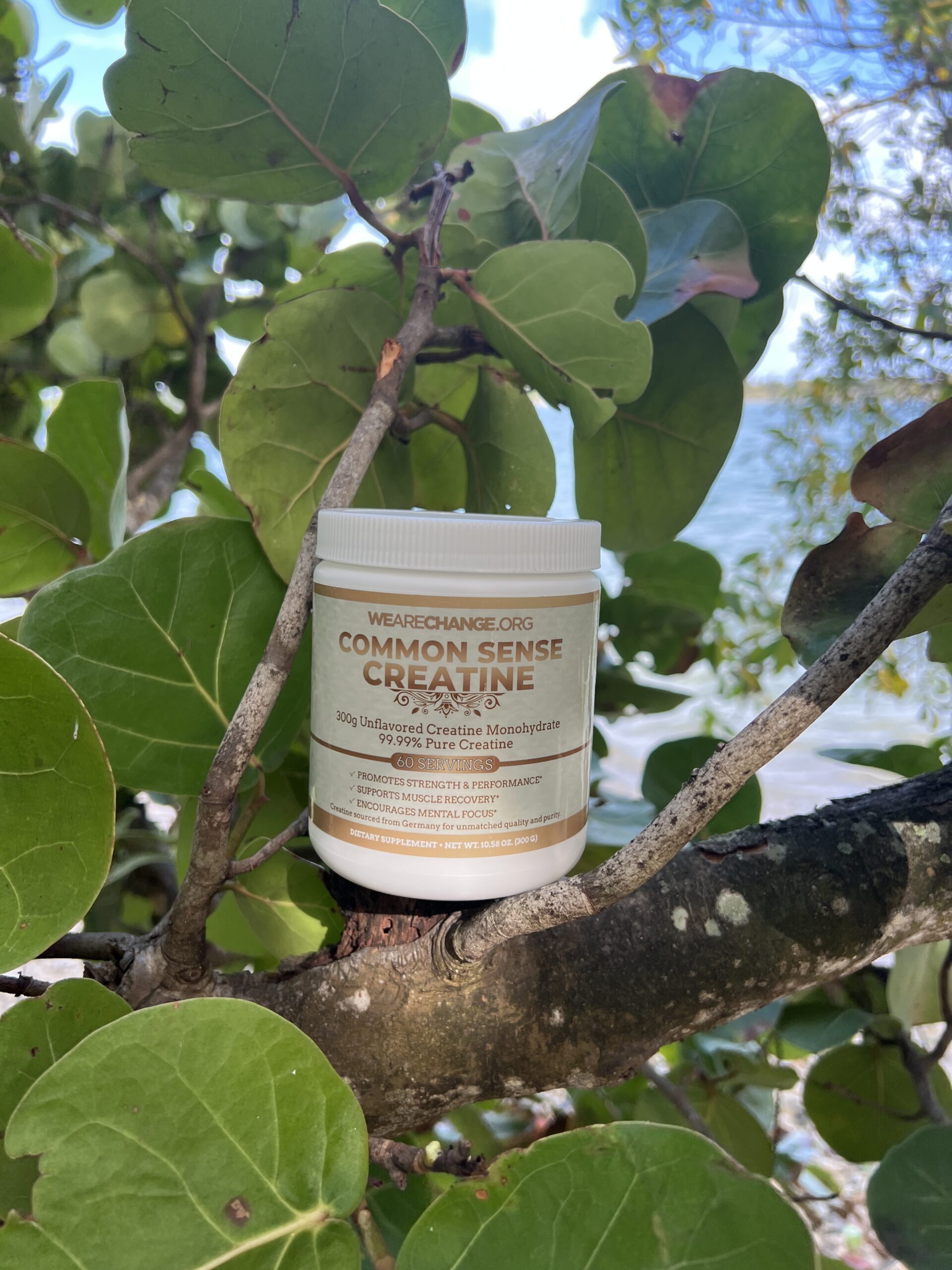 Common Sense Creatine WeAreChange Shop Supercharge Your Well Being