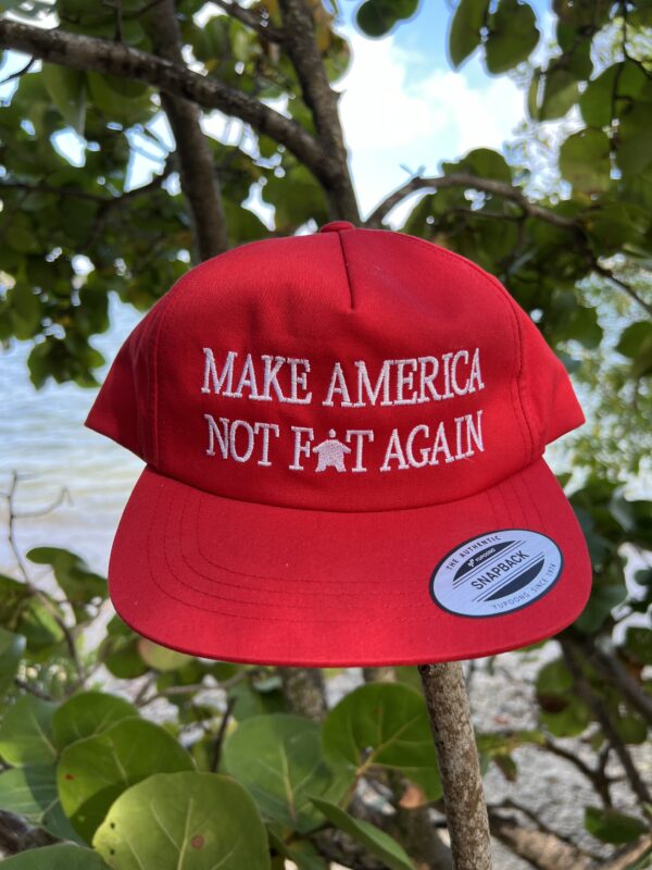 Fundraiser: "Make America Not Fat Again" Hat - Signed by Luke Rudkowski - Image 6