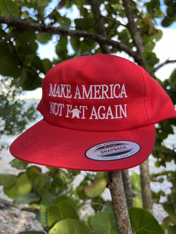 Fundraiser: "Make America Not Fat Again" Hat - Signed by Luke Rudkowski - Image 4