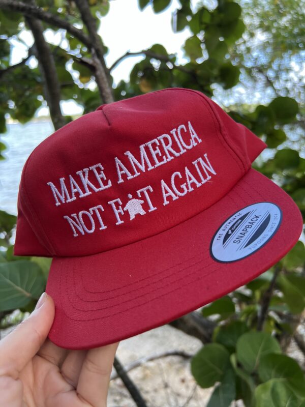 Fundraiser: "Make America Not Fat Again" Hat - Signed by Luke Rudkowski - Image 5