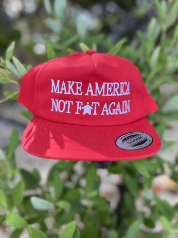 Fundraiser: "Make America Not Fat Again" Hat - Signed by Luke Rudkowski - Image 7