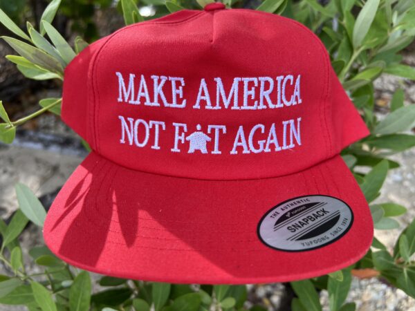 Fundraiser: "Make America Not Fat Again" Hat - Signed by Luke Rudkowski - Image 3